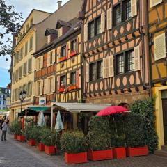 La Tour du Rempart - Appartement T2 en duplex en hypercentre de Colmar