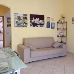 A CASA DI STÈ - Vicino aeroporto Falcone Borsellino