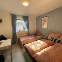 5 minute walk to LEGO house - n18 - studio room with private bathroom