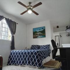 LADVILLE Apartment near Kingstown #2