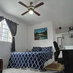 LADVILLE Apartment near Kingstown #2