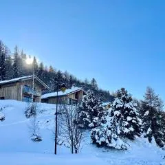 Splendide chalet 6 pièces, jacuzzi et sauna, proche pistes à La Plagne Montalbert - FR-1-755-24
