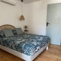 Agréable petite maison au cœur du minervois