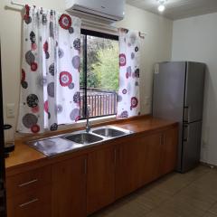 Apartamento Hohenau Centro