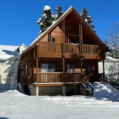 Swiss Chalet - Vacation STAY 11450v