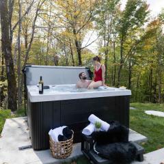 Mini chalet Ecohaven - SPA