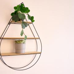 Modern Living, Prime Location - Pluxa Masonway