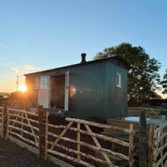 The Romney by Bloom Stays