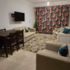 Apartment in sheikh zayed city