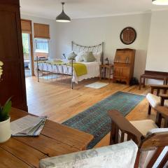 Ixia studio-Serene, solar, pet friendly, garden and valley views