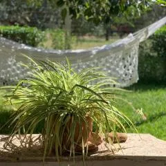 Cottage Dell' Ulivo