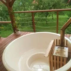 Kék Rigó Dézsafürdős Vendégház