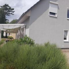 "thousand lakes" Comfortable holiday residence