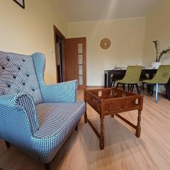 W Sercu Olsztyna z Widokiem na Historię