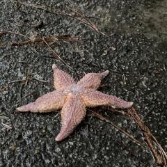 Ferienwohnung-Arp-1-22