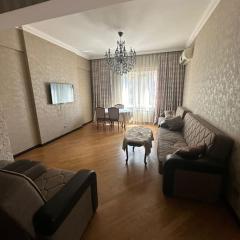 Luxury Manhattan Apartment