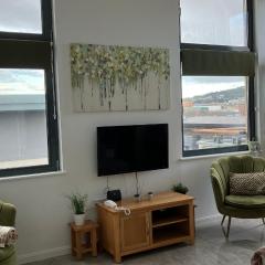 SWANSEA BAY, MARINA & ARENA VIEW Mins to BEACH & CITY