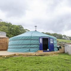 Kestrel Yurt