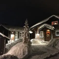 Awesome Home In Sälen With 2 Bedrooms And Sauna