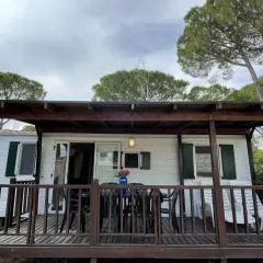 Mobilehomes in Tuoro Sul Trasimeno - Umbrien 51891