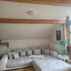 Großzügiges Studio-Apartment Siegblick 70qm mit XXL Balkon