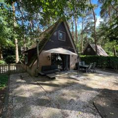 Dennenrust A-frame huisje middenin het bos.