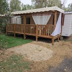 mobilhome