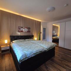 Exklusives und helles Erdgeschoss-Apartment No 4 im Zentrum von Kassel, schnelles 1Gbit Internet, Geschirrspüler, Boxspringbetten