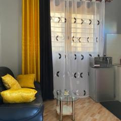 HA LUXURY STUDIO SUITE buziga