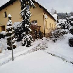 Apartment in Tanvald - Isergebirge 51889