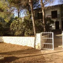 Apartments Ivan1