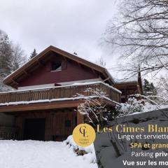 LES CIMES BLANCHES CLEDICIHOME Chalet 10 pers SPA & Grand terrain 4 MINUTES DES PISTES