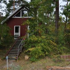 Wellenreiter - Baabe