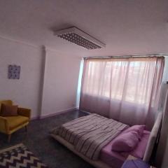 Downtown super apartment