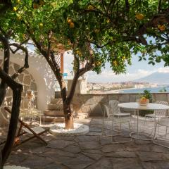 Jallo & Blue petite Suite