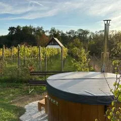 Wine & Relax Mezi Sklepy