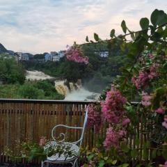 372 Jingjing's Home Inn