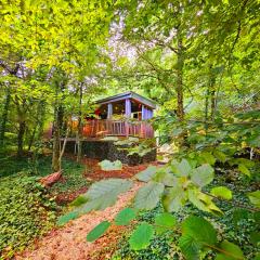 La Cabane Enchanteresse