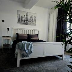 Home Studio Cismigiu