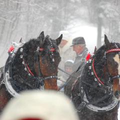 Koperkowe Rancho Beskid Wyspowy Domek Małopolskie KAMIONNA