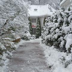 "FOREST RETREAT Luxury Villas"