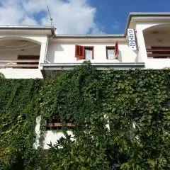 Apartments Neva