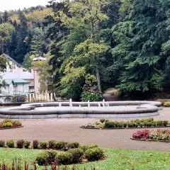 Iwoniczanka