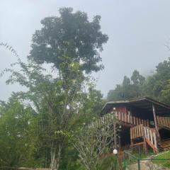 Forest Guesthouse