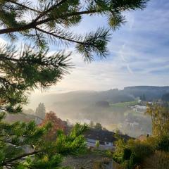 2 Mauntain view apartments