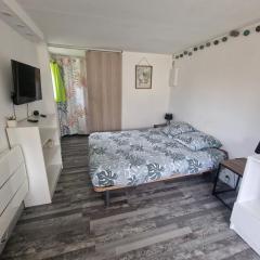 Studio Marmotte, quartier marais, terrasse en rez de jardin, matelas confort