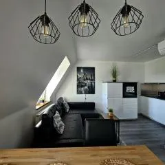 Apartament Pod Radiostacją -Gliwice Tarnogórska, parking free, klimatyzacja