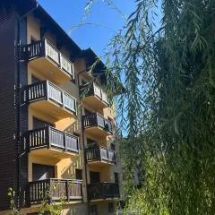Apartment Mountain Dreams