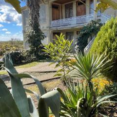 Shonikebi Guest House