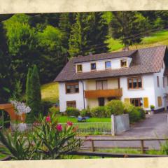 Komfortable Apartments Steger